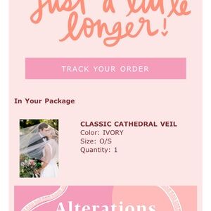 Classic Cathedral Veil